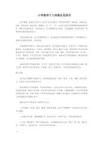 小学教师个人师德反思报告