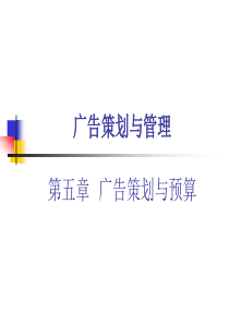 第五章-广告策划与预算