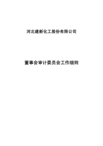 建新股份：董事会审计委员会工作细则（XXXX年10月）