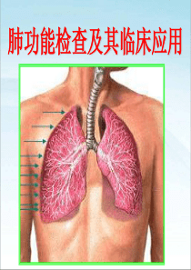 肺功能检查及临床应用