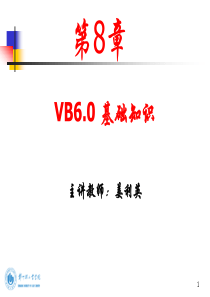 《VB基础知识》PPT课件