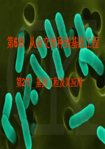 高二生物基因工程及其应用