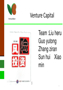 Venture_Capital_风险投资2