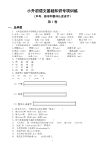 小学语文小升初基础知识专项训练（声母韵母和整体认读音节）