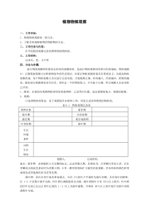 植物物候观测表