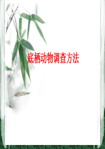 底栖动物调查方法