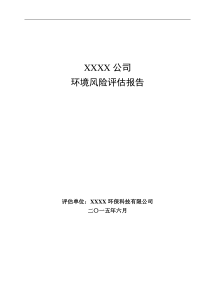 xxxx公司风险评估报告