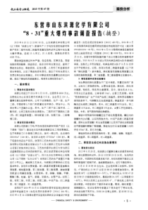 东营市山东滨源化学有限公司“8·31”重大爆炸事故调查报告(摘登)