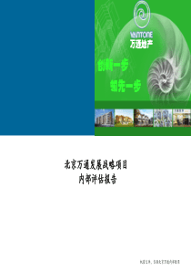 334北京万通发展战略项目内部评估报告