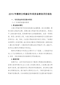 2015年精神文明建设专项资金绩效评价报告