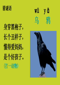 人教版一年级语文下册  19.乌鸦喝水 课件