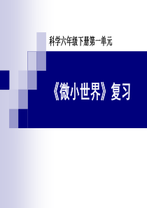 科学六下第一单元《微小世界》知识点梳理和记忆