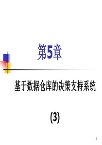 DSS第5章：基于数据仓库的决策支持系统(3)