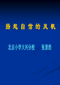 扬起自信的风帆北京小学大兴分校张景浩