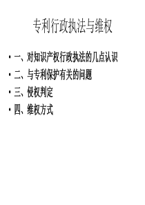 知识产权的维权与执法知识