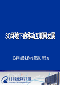 3G下的移动互联网发展分析(胡坚波)