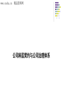 公司科层契约与公司治理体系（PPT30页）