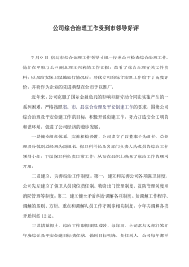 公司综合治理工作受到市领导好评