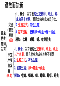 八年级生物下册 第七单元第一章 第三节 两栖动物的生殖和发育 人教版