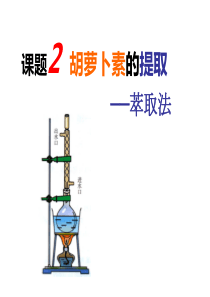 2013年最新高中生物精品教学课件：胡萝卜素的提取(1)(人教版选修1)