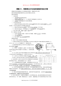 课题31：观察根尖分生组织细胞的有丝分裂