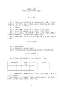 有限责任公司章程 (不设董事会监事会)