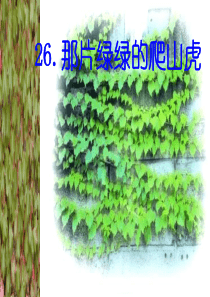 人教版四年级语文上册《那片绿绿的爬山虎》PPT课件