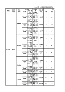 XXXX重大风险因素清单11