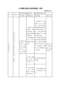 XX风险点与防控措施（DOC35页）