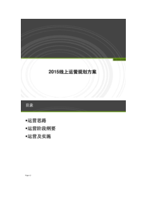 2015线上运营方案运营及实施解决方案剖析