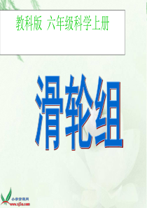 (教科版)六年级科学上册 课件  滑轮组