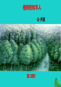 【完全解读】(2016年秋季版)七年级语文上册 第四单元 第14课《植树的牧羊人》课件1