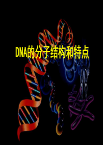 DNA的分子结构和特点(浙科版)