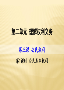 部编版八下公民的基本权利