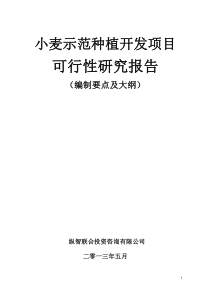 小麦种植开发项目可行性报告设计方案