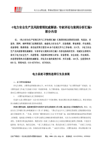 《电力安全生产及风险管理权威解读、专家评论与案例分析汇编》部分