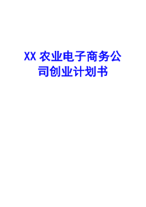 互联网+XX农业项目电子商务公司创业计划书