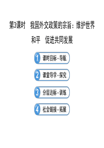 493我国外交政策的宗旨维护世界和平促进共同发展