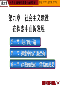 社会主义建设在曲折中发展