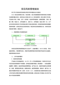 项目风险管理计划