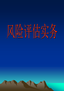 《风险评估实务》培训资料