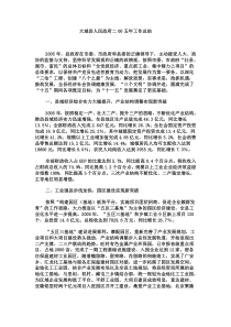 大城县人民政府xxxx年工作总结