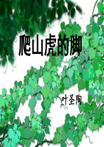 《爬山虎的脚》课件6.ppt