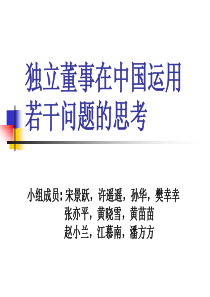 独立董事在中国运用若干问题的思考