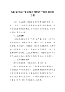 东白龙村清产核资实施方案(1)