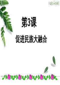 3.3《促进民族大融合》ppt(新人教选修1)-(1)