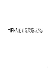 miRNA 的研究策略与方法