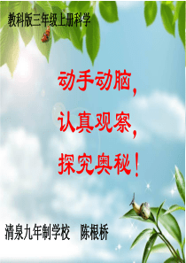 它们吸水吗_ppt (1)