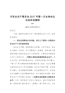 1.市安委会2017年第一次全体会议讲话提纲