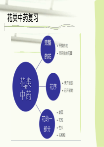 果实种子类中药鉴定